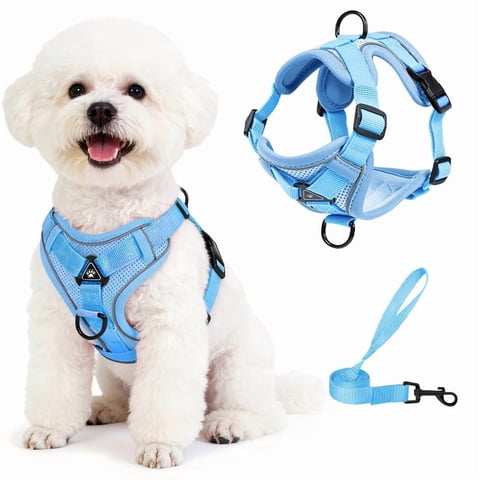 Exclusivo Mezcla Pet Harness and Leash Set, Adjustable Reflective Walking Dog Harness for Small Dogs, No Pull Soft Mesh Puppy Harness, Blue, M