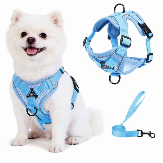 Exclusivo Mezcla Pet Harness and Leash Set, Adjustable Reflective Walking Dog Harness for Small Dogs, No Pull Soft Mesh Puppy Harness, Blue, S