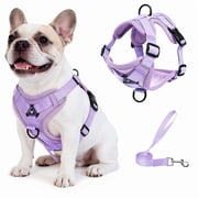 Exclusivo Mezcla Pet Harness and Leash Set, Adjustable Reflective Walking Dog Harness for Small Dogs, No Pull Soft Mesh 