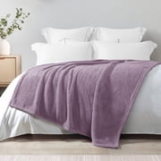 Exclusivo Mezcla Soft Fleece Throw Blanket for Couch, Super Soft Velvet Plush Bed Blanket, 50x60 Inches, Grayish Purple
