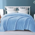 thumbnail image 1 of Exclusivo Mezcla Twin/Twin XL Size Flannel Fleece Blanket, 90"x66" Soft Jacquard Weave Leaves Pattern Velvet Plush Bed Blanket, Light Blue, 1 of 7