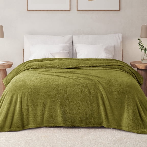 Exclusivo Mezcla Twin Size Flannel Fleece Blanket, Super Soft Velvet Plush Bed Blanket, 60x80 Inches, Olive Green