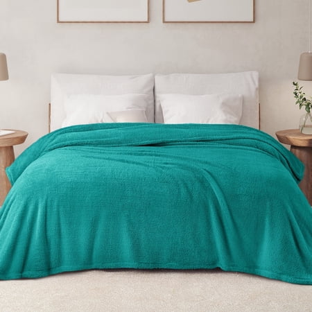 Exclusivo Mezcla Twin Size Flannel Fleece Blanket, Super Soft Velvet Plush Bed Blanket, 60x80 Inches, Teal