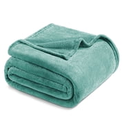 Exclusivo Mezcla Twin Size Flannel Fleece Velvet Plush Bed Blanket as Bedspread, Coverlet, Bed Cover (60"x80", Celadon)