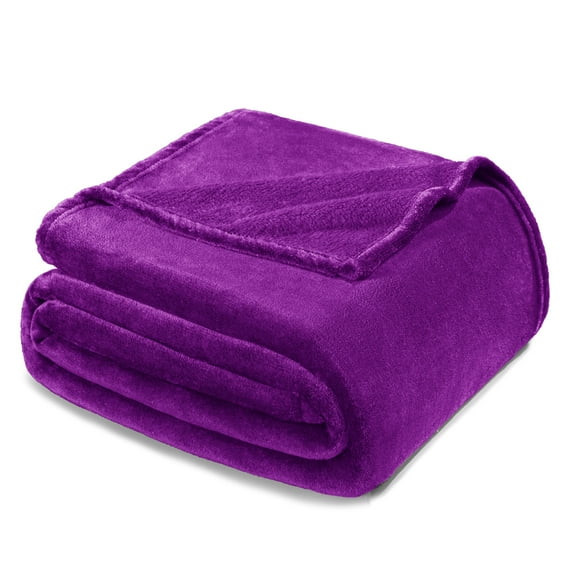 Exclusivo Mezcla Twin Size Flannel Fleece Velvet Plush Bed Blanket as Bedspread, Coverlet, Bed Cover (60"x80", Purple)