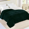 thumbnail image 1 of Exclusivo Mezcla Twin Size Sherpa Fleece Bed Blanket, Ultra Soft and Warm Reversible Velvet Blankets for Bed Couch Sofa 90x66 inches, Forest Green, 1 of 8