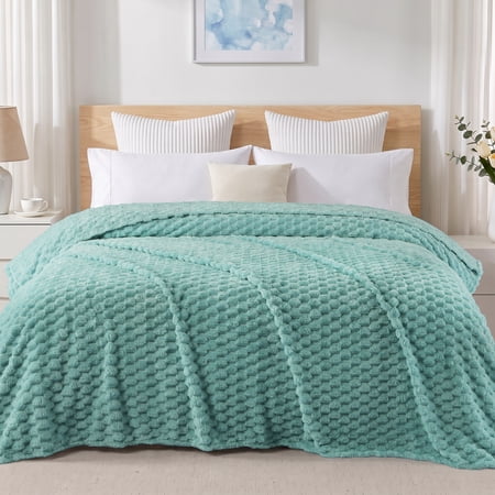 Exclusivo Mezcla Twin Size Soft Fleece Blanket, 60"x80" Stylish Jacquard Velvet Blanket for Bed, Cozy Soft Lightweight for All Season, Celadon