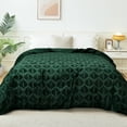 thumbnail image 1 of Exclusivo Mezcla Twin Size Fleece Blanket for Bed, Leaves Pattern Super Soft and Cozy Blankets, Plush Fuzzy Lightweight, Forest Green, 60"x80", 1 of 7