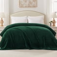 thumbnail image 1 of Exclusivo Mezcla Waffle Textured Soft Fleece Blanket, Twin/Twin XL Size Bed Blanket, Cozy Warm and Lightweight (Forest Green, 90"x66"), 1 of 6