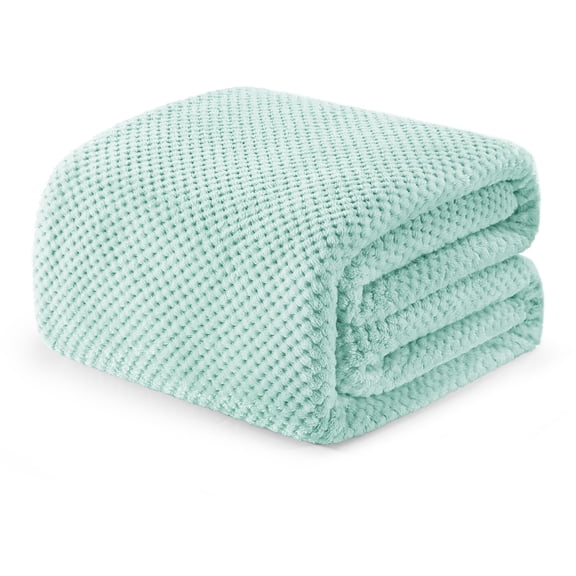 Exclusivo Mezcla Waffle Textured Soft Fleece Blanket, Twin/Twin XL Size Bed Blanket, Cozy Warm and Lightweight (Mint Green, 90"x66")