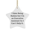 thumbnail image 1 of Executive Assistant for Coworkers, I Hate Being Badass but I'm an., Motivational Executive Assistant Star Ornament, from Team Leader, 1 of 1