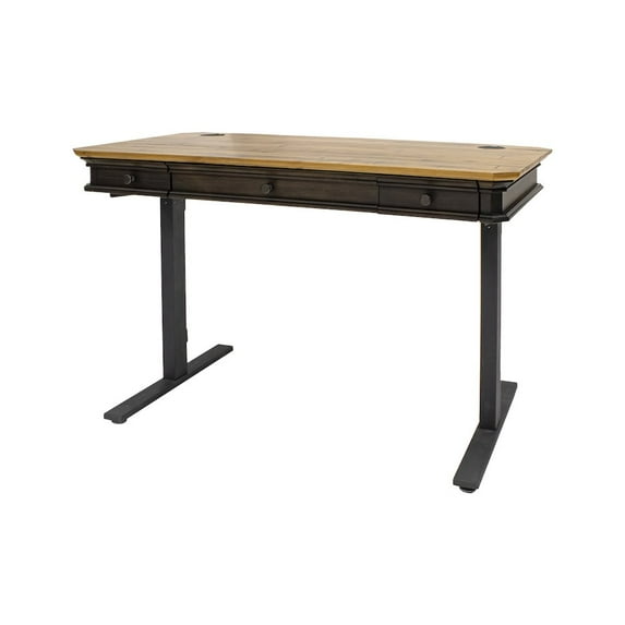 Executive Electric Sit Stand Desk With Solid Wood Plank Top Brown