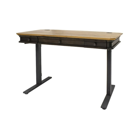 Executive Electric Sit Stand Desk With Solid Wood Plank Top Brown