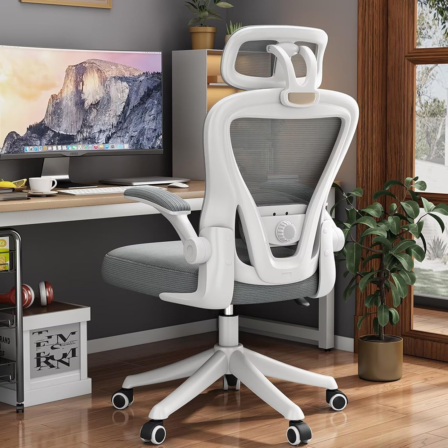 Executive Ergonomic Office Chair, High Back Mesh, Adjustable Lumbar