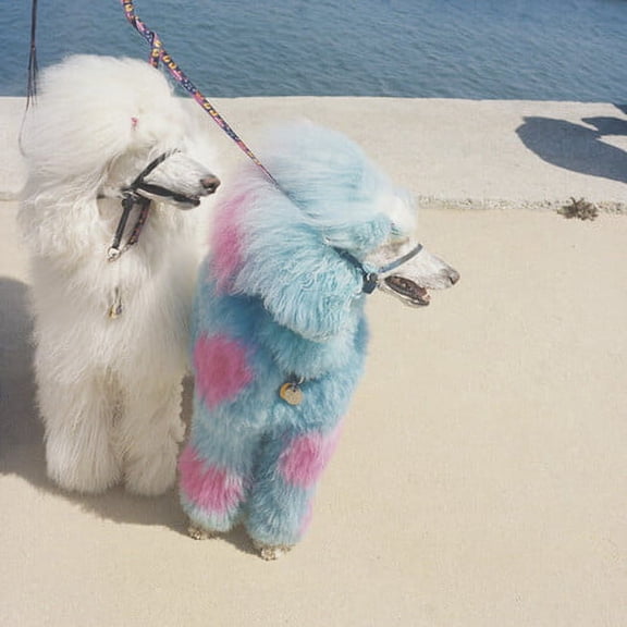 Exek - Advertise Here - Rock - CD