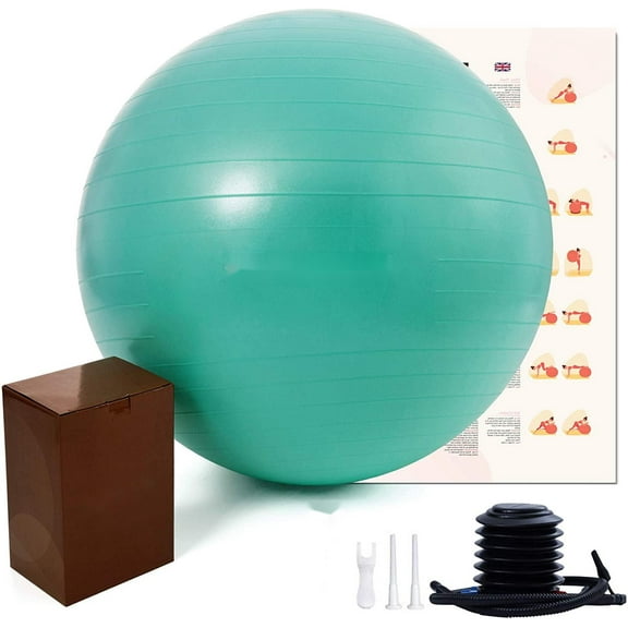 Exercise Ball (25.6in),Professional Yoga Stability Ball Chair Extra Thick Anti-Burst Support 660 lbs,with Quick Pump &Workout Guide for Home&Gym&Office