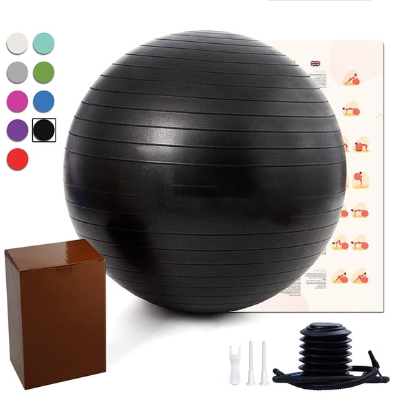 Exercise Ball (25.6in),Professional Yoga Stability Ball Chair Extra Thick Anti-Burst Support 660 lbs,with Quick Pump &Workout Guide for Home&Gym&Office