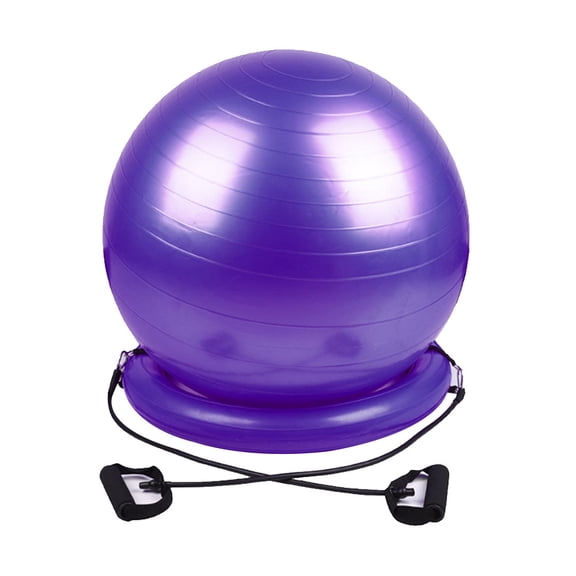 Exercise Ball Chair Stability Yoga Balance Ball with Ring Base, Resistance Bands & Pump, Loop Bands, Carry Bag, Poster for Home, Office, Posture, Gym Bundle, Home Workout