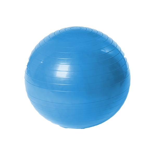 Quickwittc Exercise Ball Extra Thick Professional Grade Balance & Stability Ball- Includes Hand Pump