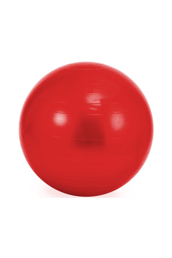 Exercise Ball, Stability Ball, Fitness Ball for Posture, Balance, Yoga, Pilates, Core, & Rehab-red-55cm