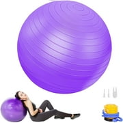 Exercise Ball Yoga Ball, 75cm Large Anti-Burst Gym Grade Birthing Ball for Pregnancy, Fitness, Balance, Pilates Workout and Physical Therapy, Extra Thick Stability Balls with Quick Pump, Purple