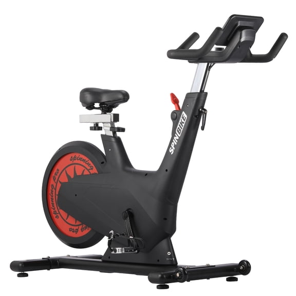 Exercise Bike Magnetic Resistance Indoor Cycling Stationary Bike with Adjustable Seat 300 LBS Capacity Tablet Holder for Home Workout Black Red