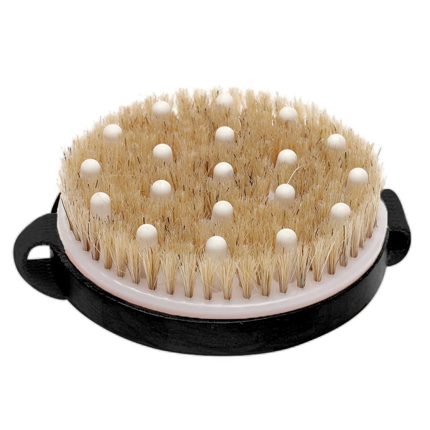Avilana Exfoliating Body Brush with Natural Bristles, Dry/Wet Brushing ...