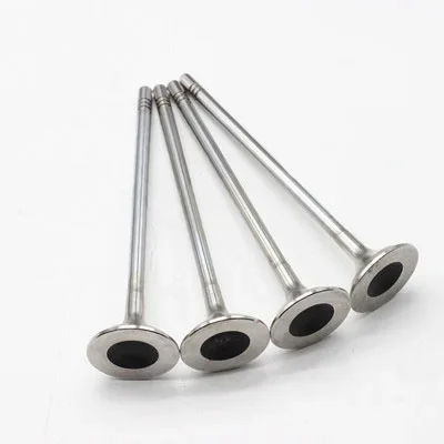 Exhaust-4PCS-Access Engine Intake Valve, SAIC Prevention US G10 Jane 2.0T