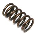 thumbnail image 1 of Exhaust & Intake Spring, 1 of 1