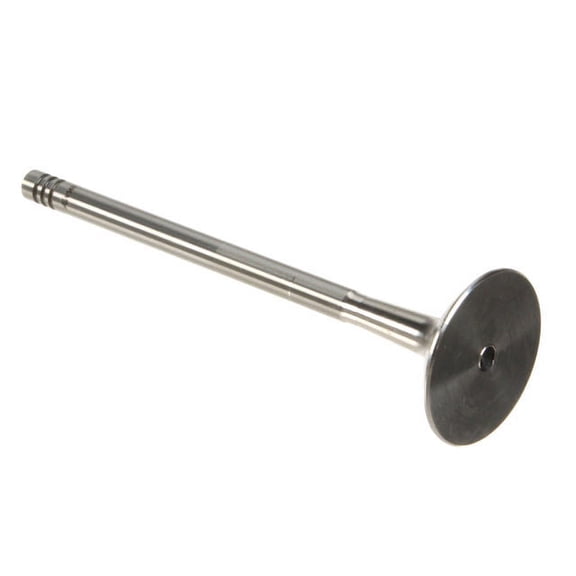 Exhaust Valve - Compatible with 2001 - 2006 BMW X5 3.0L 6-Cylinder - AE