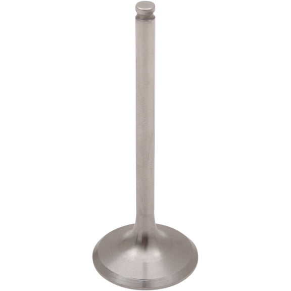Exhaust Valve - Titanium