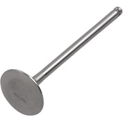 Exhaust Valve - Titanium