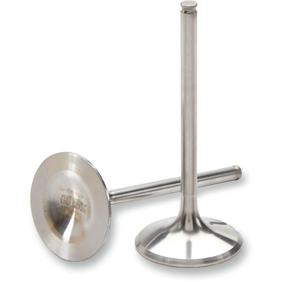 Exhaust Valve - Titanium