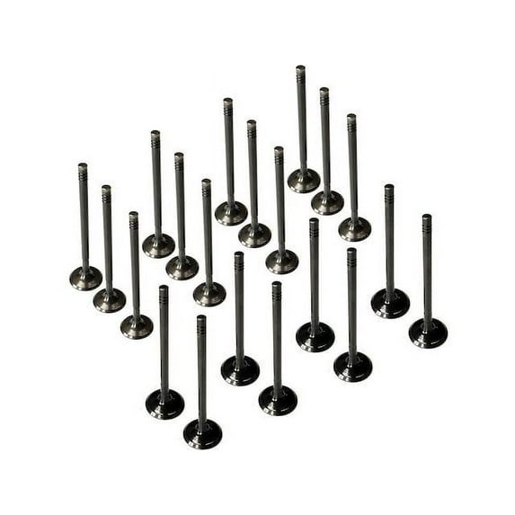 Exhaust Valve and Intake Valve Kit - Compatible with 1999 - 2005 Volkswagen Beetle 2000 2001 2002 2003 2004
