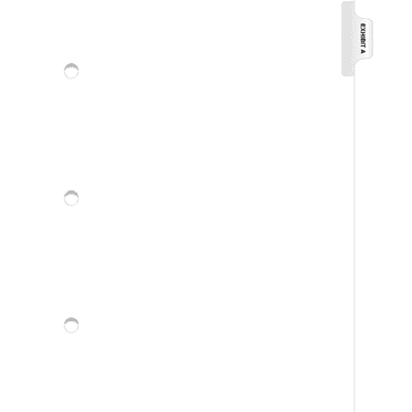 Exhibitindexes® 3 Hole Punched Side Exhibit Tabs Letter Size AVE Style Bold Font Package of 25 - Made in The USA