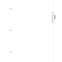 Exhibitindexes® 3 Hole Punched Side Exhibit Tabs Letter Size AVE Style Bold Font Package of 25 - Made in The USA