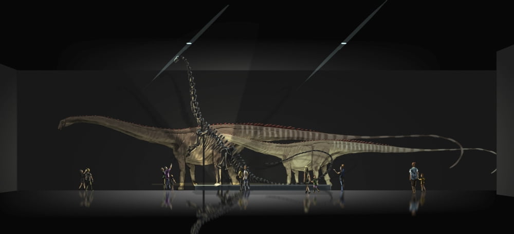 Exhibition space featuring Diplodocus longus Canvas Art - Alice TurnerStocktrek Images (21 x 10)