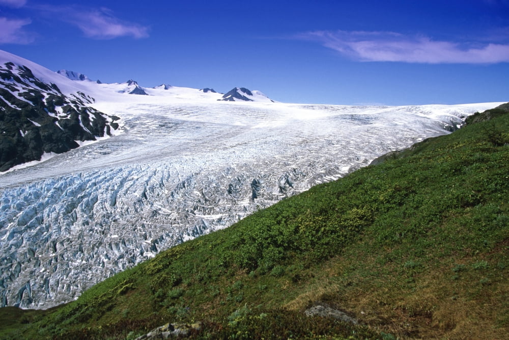 Exit Glacier Part Of Harding Ice Field Kp Ak Summer Kenai Fjords Np Canvas Art - Jeff Schultz Design Pics (17 x 11)