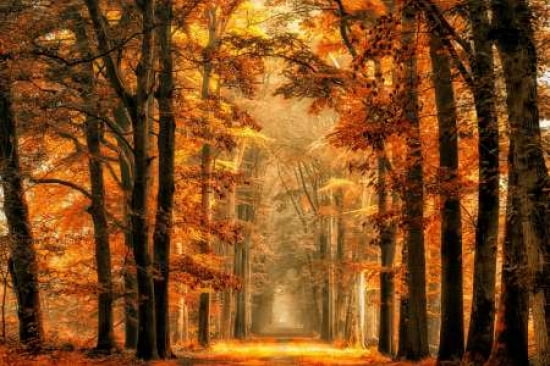 Exit The Portal Canvas Art - Lars Van De (12 x 18)