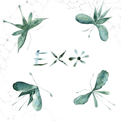 Exo Exo (Vinyl Record) 12" Album