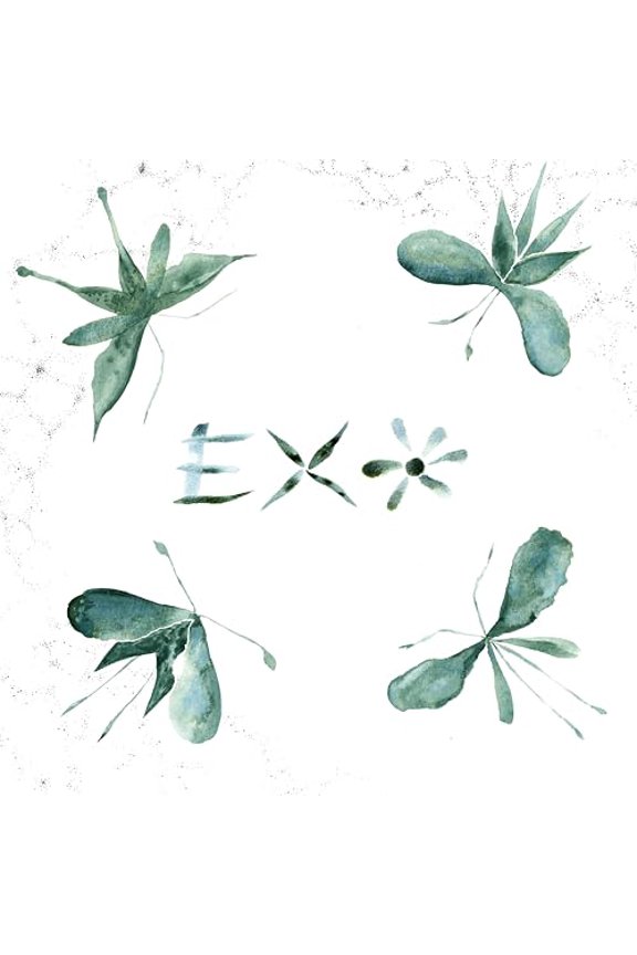 Exo Exo (Vinyl Record) 12" Album