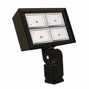 General Purpose Floodlight,15000 lm,LED RFL4-120-4K-T