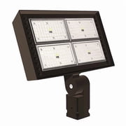 General Purpose Floodlight,32000 lm,LED RFL5-265-4K-T