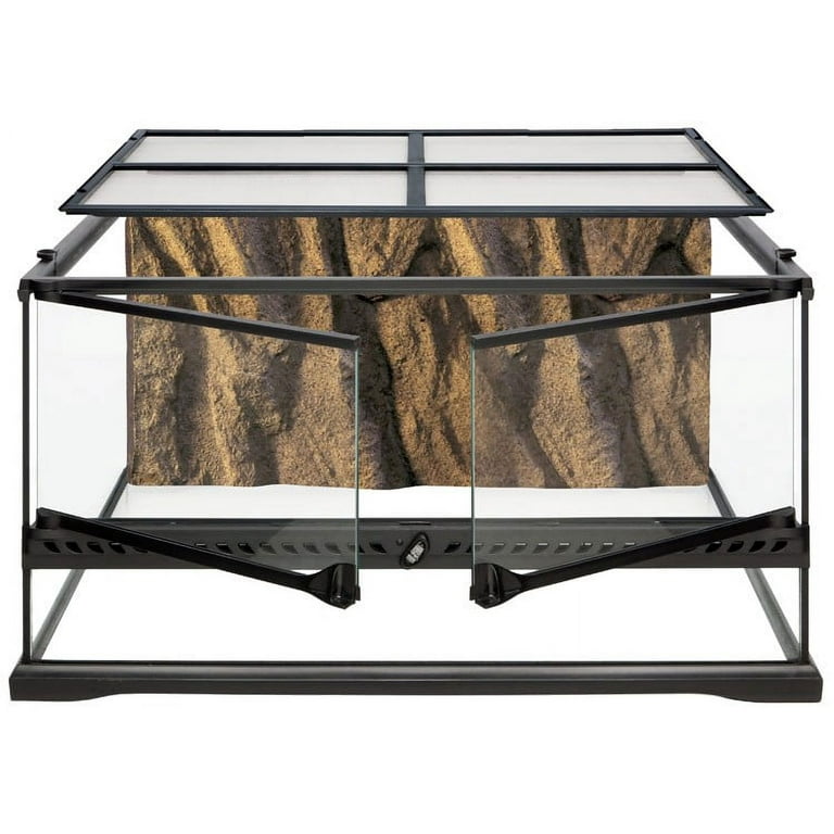 All shop glass terrarium