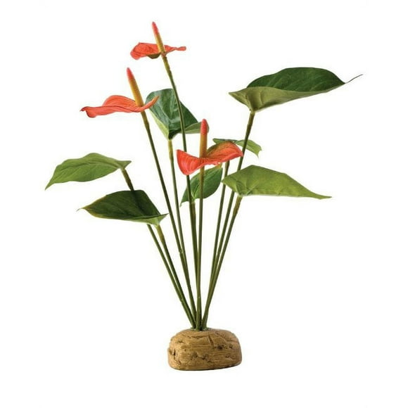 Exo Terra Anthurium Bush Terrarium Plant