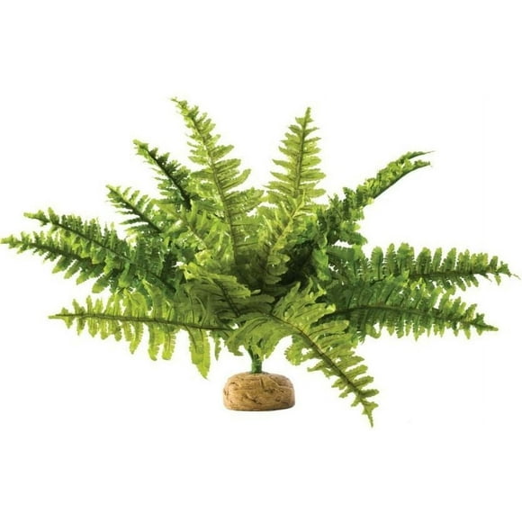 Exo Terra Boston Fern Terrarium Plant Medium - (2 Pack)