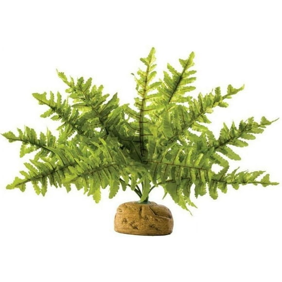 Exo Terra Boston Fern Terrarium Plant Small - (2 Pack)