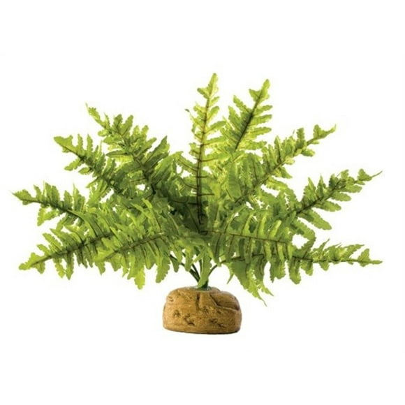 Exo Terra Boston Fern Terrarium Plant, Small