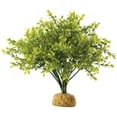 thumbnail image 1 of Exo Terra Boxwood Bush Terrarium Plant, 1 of 2