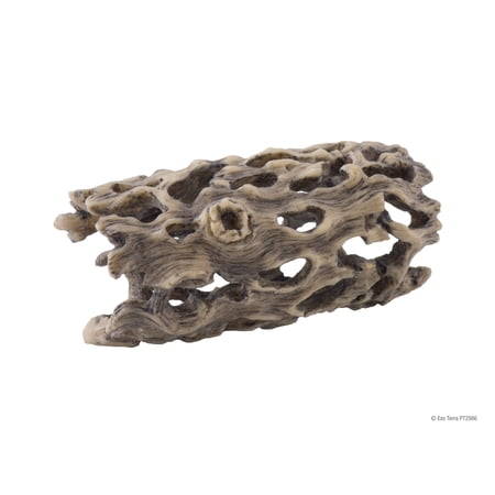 Exo Terra Cholla Cactus Skeleton (Small)